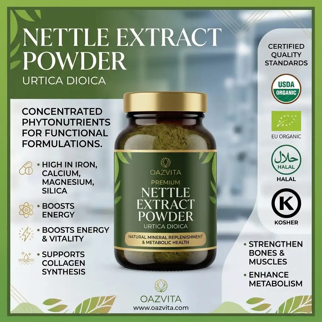 Nourishing Nettle Recipes for Energy, Minerals & Vitality Nourishing Nettle Recipes for Energy, Minerals & Vitality